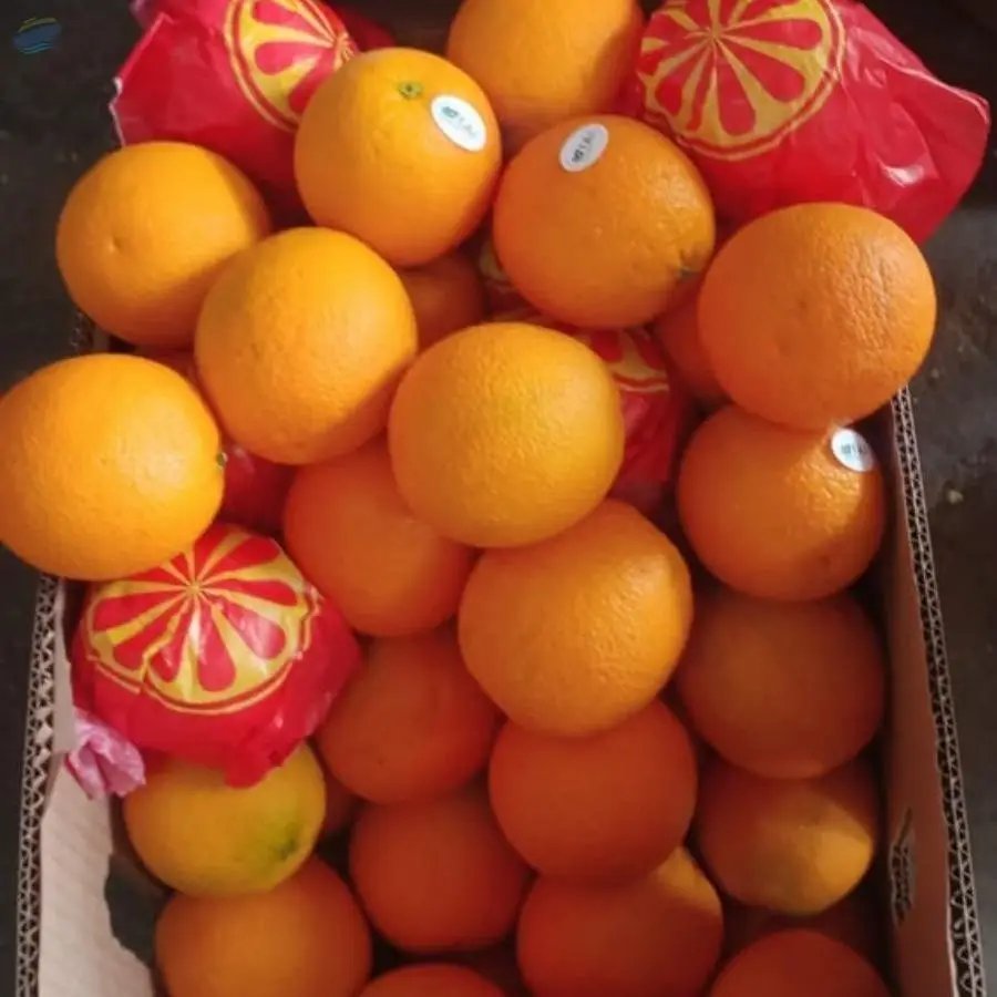 Mandarin