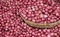 Fresh Onions