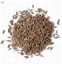 Cumin Seeds