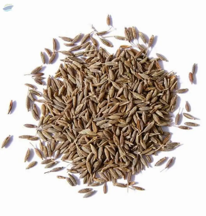 Cumin Seeds