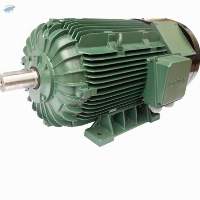 Slip Ring Motor