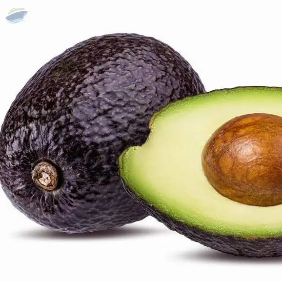 Hass Avocado