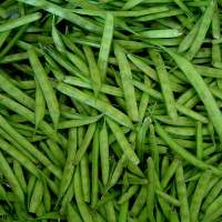 Cluster Beans