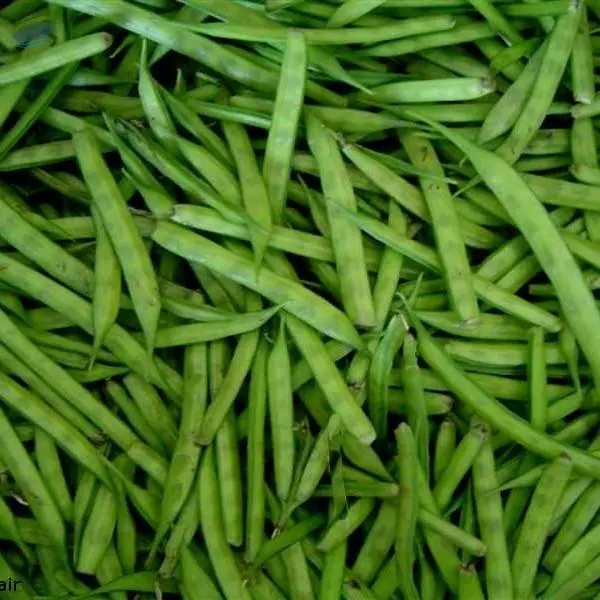 Cluster Beans