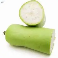 Bottle Gourd