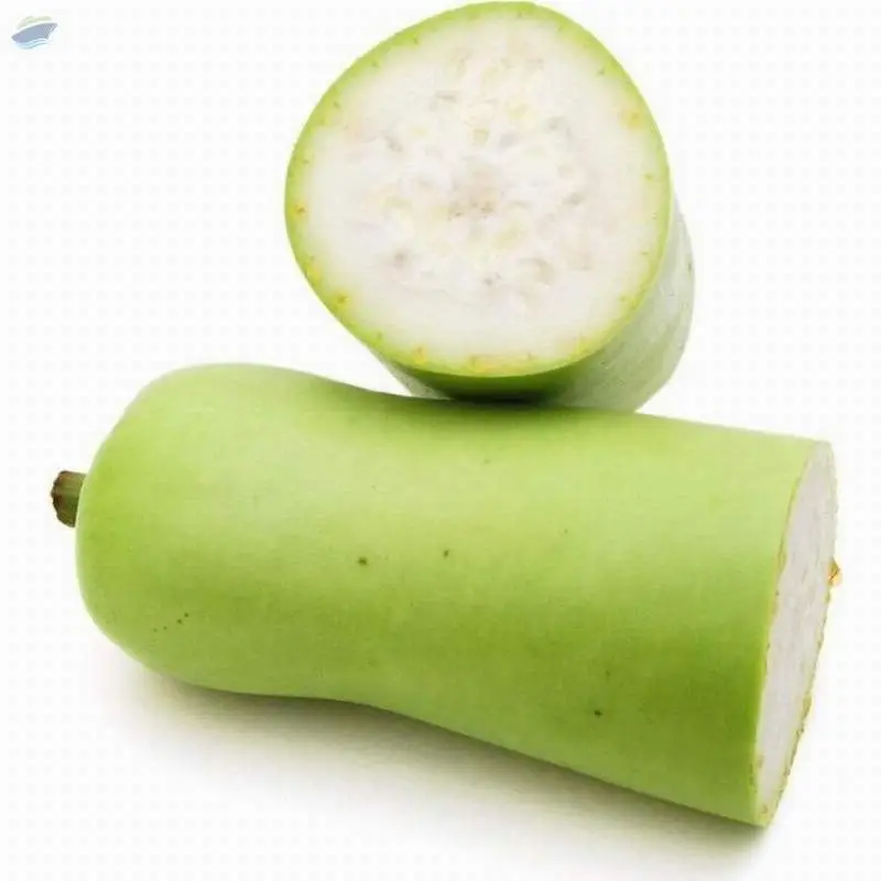 Bottle Gourd