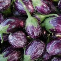Eggplant