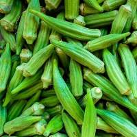 Okra