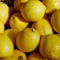 Lemon