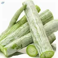 Snake Gourd