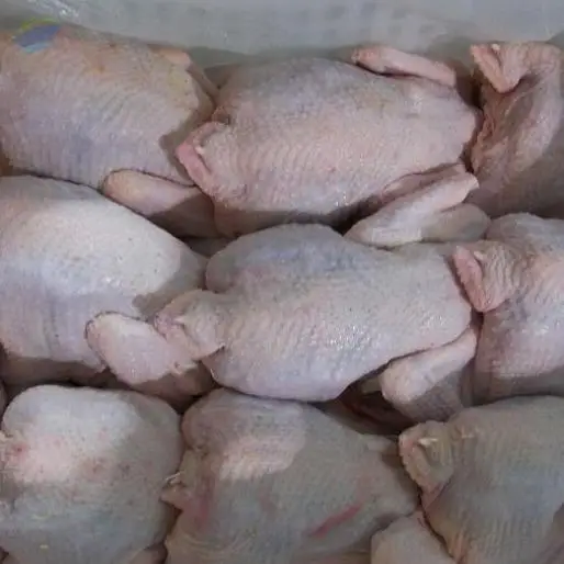 Frozen Halal Whole Chicken