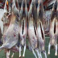 Goat Meat