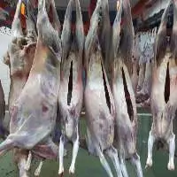 Goat Meat