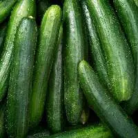 Cucumber