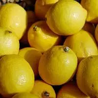 Lemon