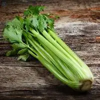 Celery