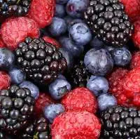 Berry