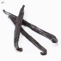 Vanilla Bean