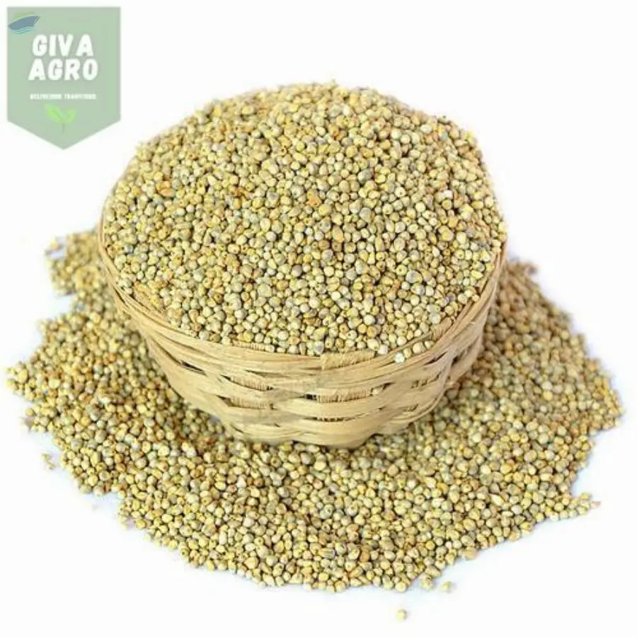 Pearl Millet Seeds