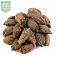 Black Cardamom