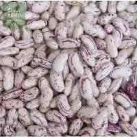 Speckled Kidney Beans
