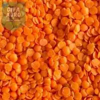 Red Lentils