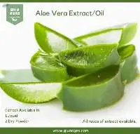 Aloe Vera Extract