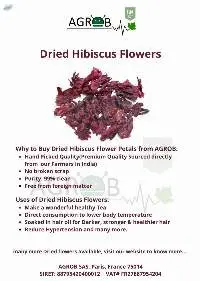 Dried Flowers