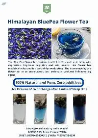 Himlayan Blue Pea Flower