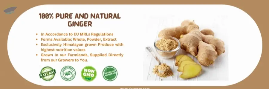 Natural Ginger Whole/Powder