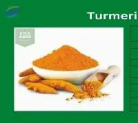 EU MRls Turmeric