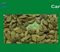 EU MRLs Cardamom