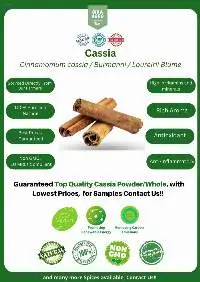 Cassia