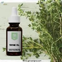 Thyme Oil