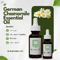 German Chamomile Oil