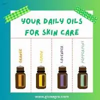 Daily Essential Oils for Skin care