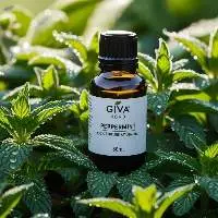 Peppermint Oil