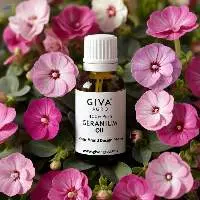 Geranium Oil