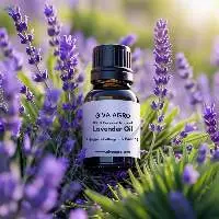 Lavender Oil