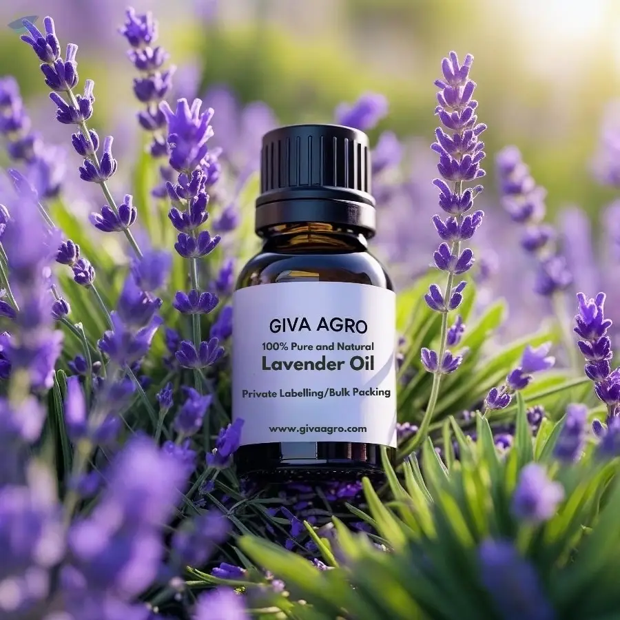 Lavender Oil