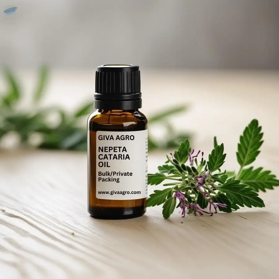Nepeta Cataria Oil
