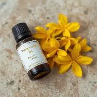Ylang Ylang Oil