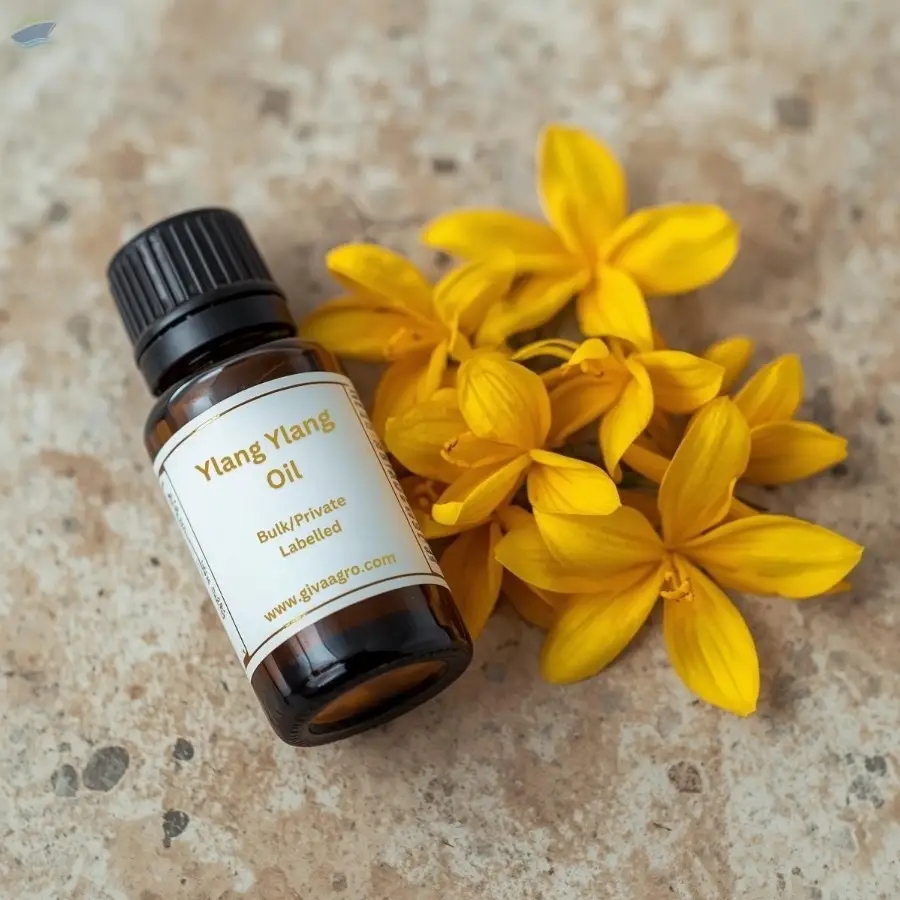 Ylang Ylang Oil