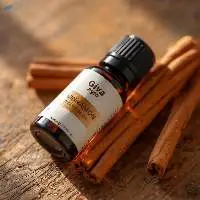 Cinnamon Oil