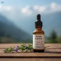 Rosemary Oil