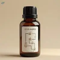 Personal Care and Skincare OEM