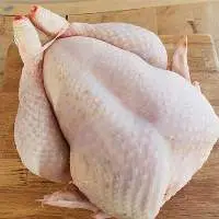 Halal Fresh Frozen Whole Chicken