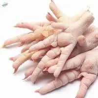 Frozen Chicken Feet/Paws