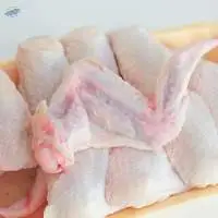 Frozen Whole Chicken, Chicken Feet, Paws, Wings