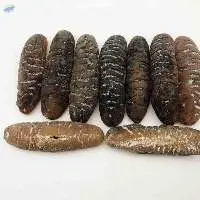 High grade Dry/Frozen Sea Cucumber